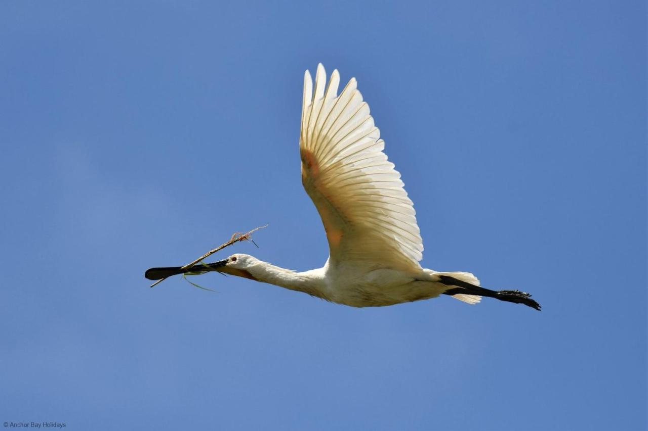 Spoonbill Cottage Файли Екстериор снимка